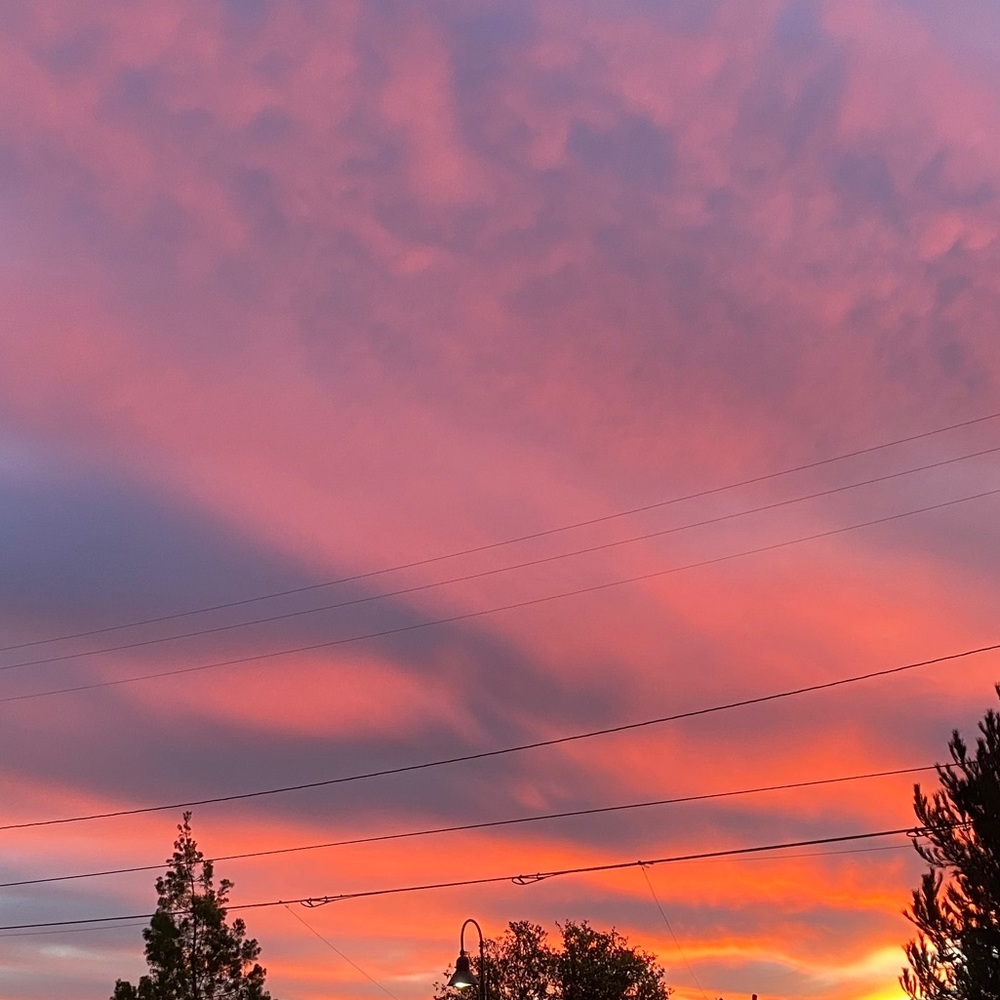 Meet your Posher, Devan